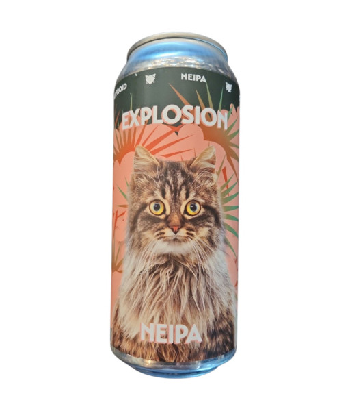 Noctem - Explosion - 473ml