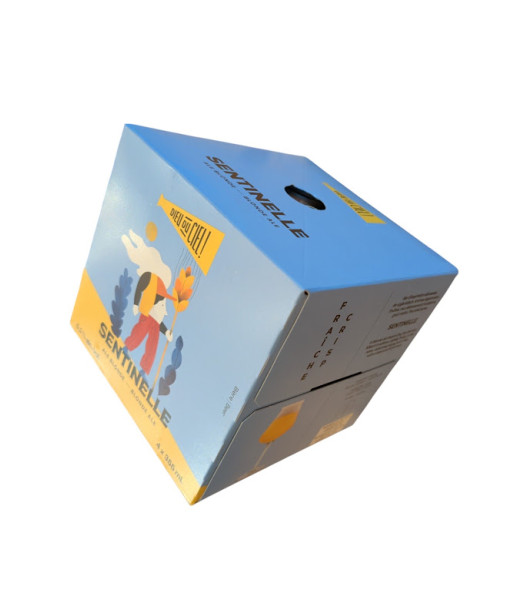Dieu du Ciel - Sentinelle - 4x355ml
