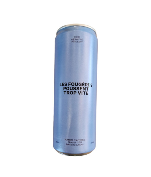 Intrus - Les Fougères Poussent Trop Vite - 355ml