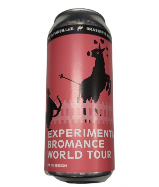 Dépareillée - Experimental Bromance World Tour - 473ml