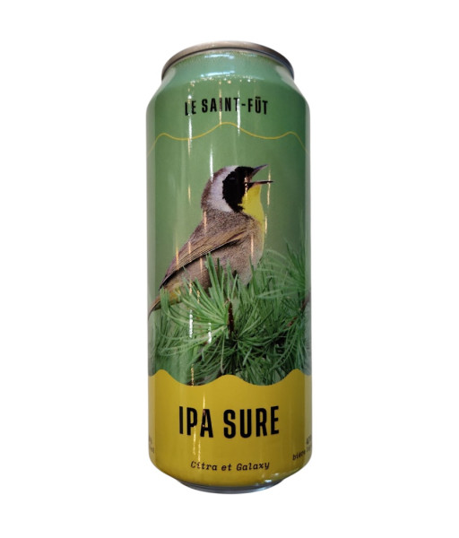 Saint Fût - IPA Sure - 473ml